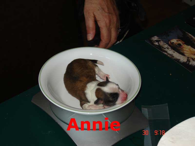 Annie